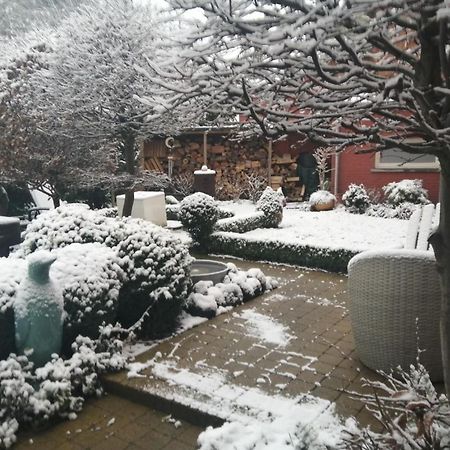 Adamas B&B Dendermonde Luaran gambar